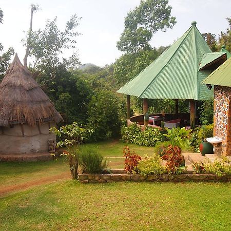 Songota Falls Lodge Arusha Extérieur photo
