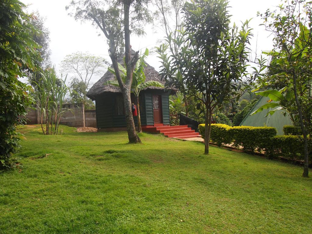 Songota Falls Lodge Arusha Chambre photo
